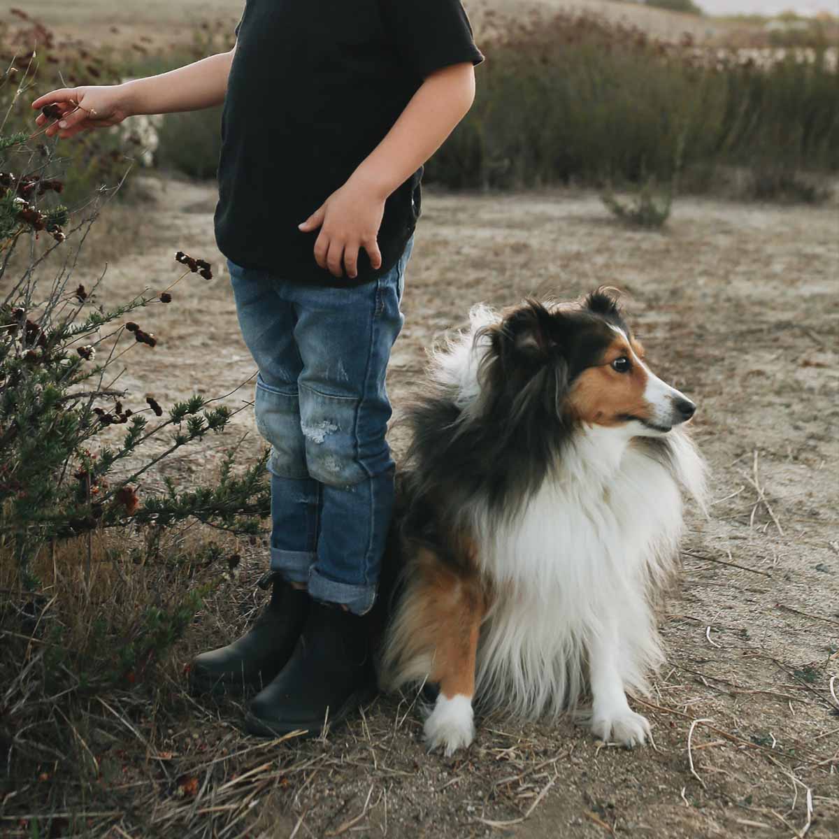 KID'S