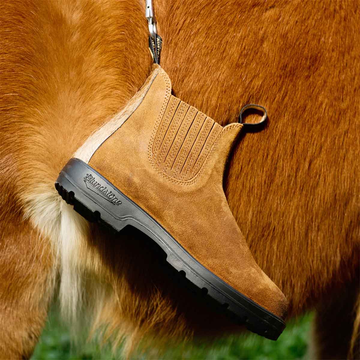 Blundstone & Pop Trading Company<br>初コラボレーション